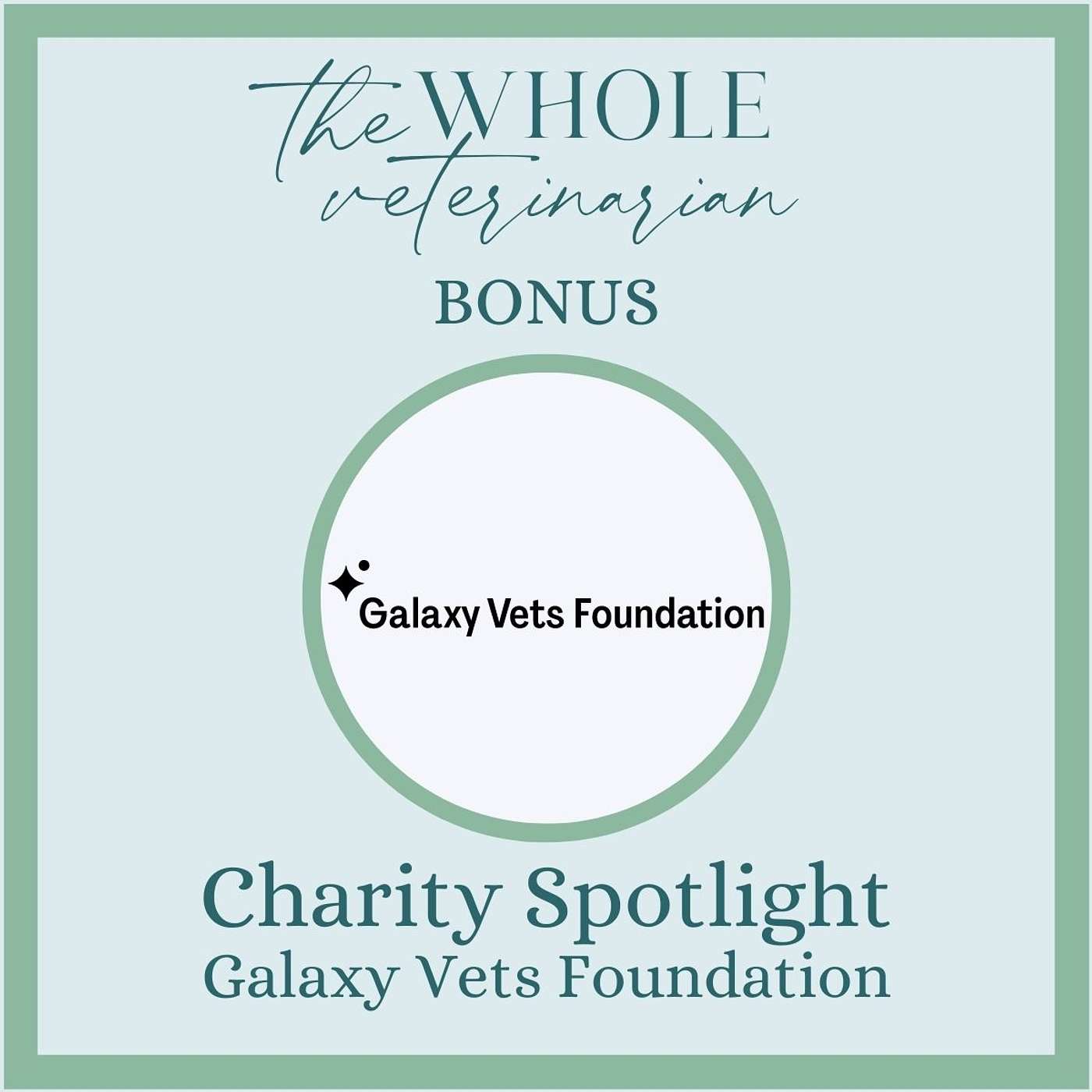 BONUS - Charity Spotlight: Galaxy Vets Foundation