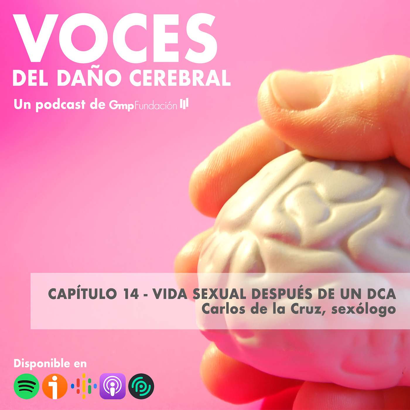 VOCES DEL DAÑO CEREBRAL. Capítulo 14 - Vida sexual después de un DCA