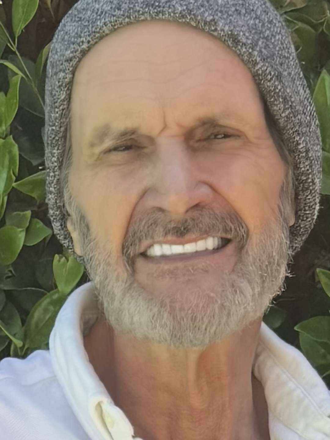Andrew Rollins