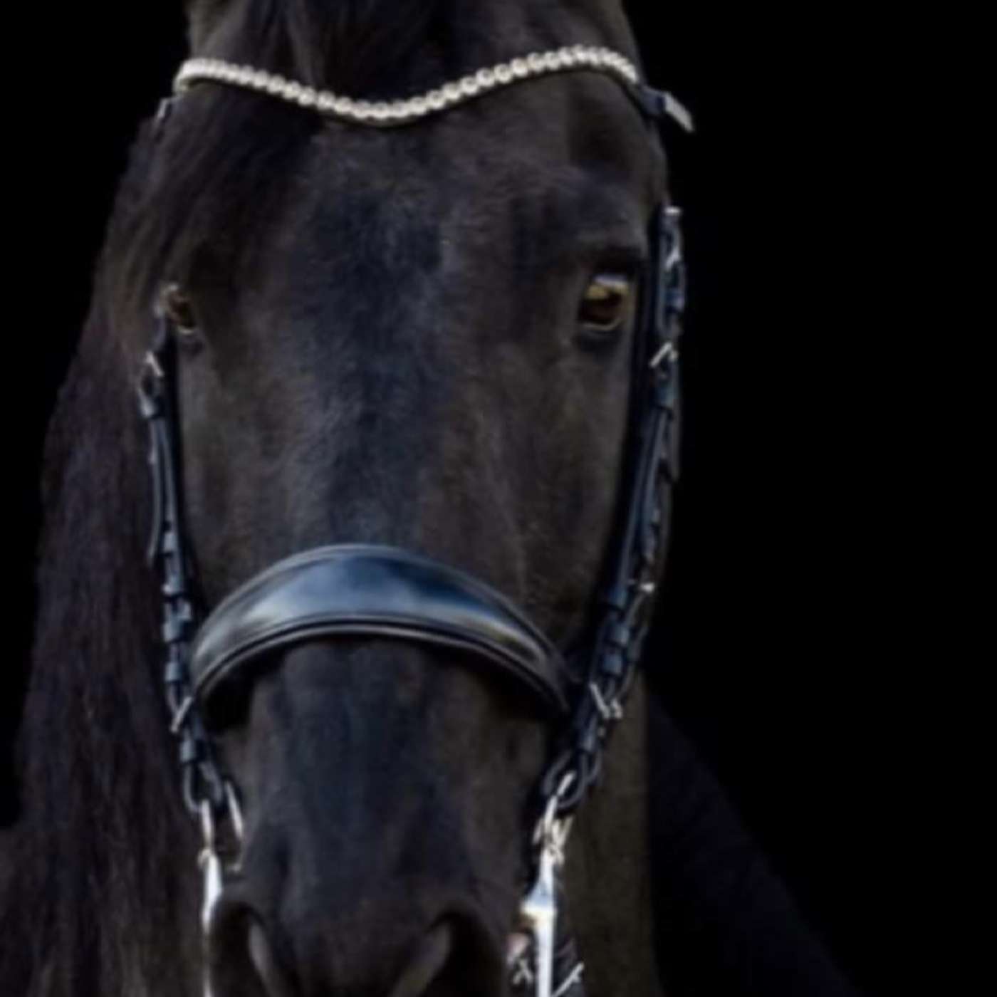 A Mom Speaks Out On Her Ordeal With CPS, How It Affected Her Family And Foster Care