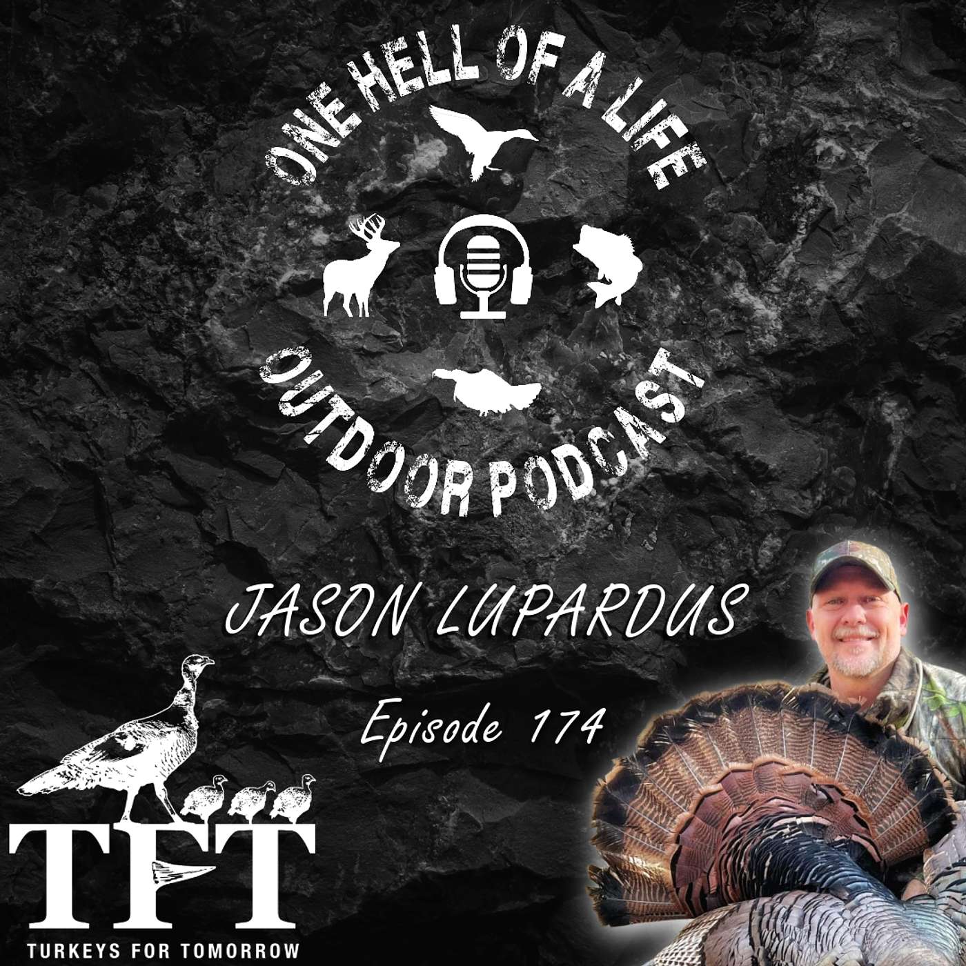 Turkeys For Tomorrow | How Private Land, Predators, And Smart Harvest Can Rebuild Turkey Populations