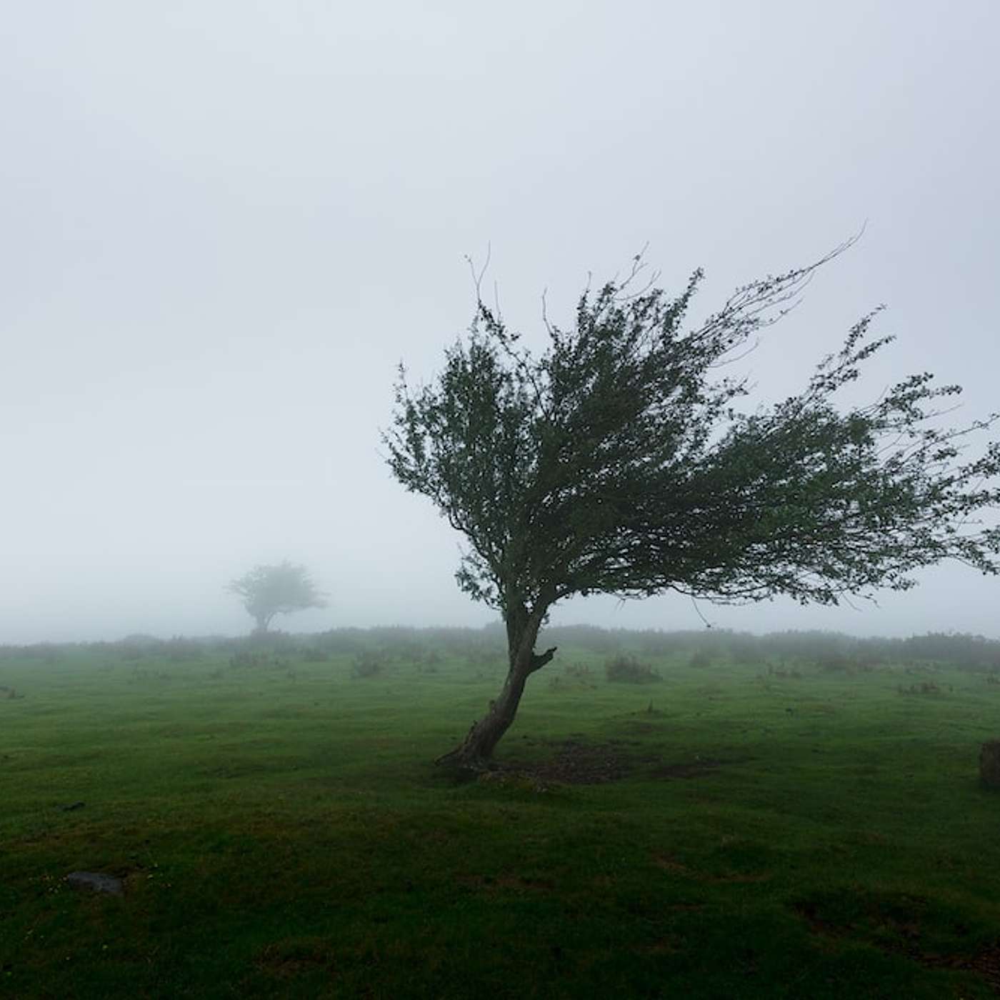 Literature Paper 1 - Poetry - Ted Hughes - 'Wind'