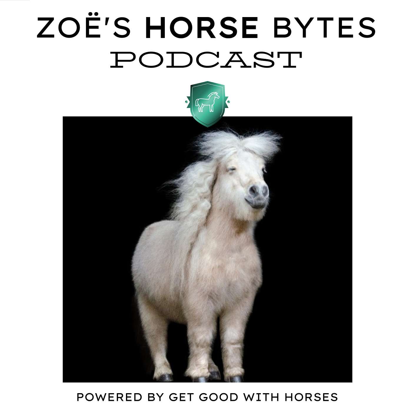 52. Horsemanship Challenges - 1 year celebration + giveaway episode artwork