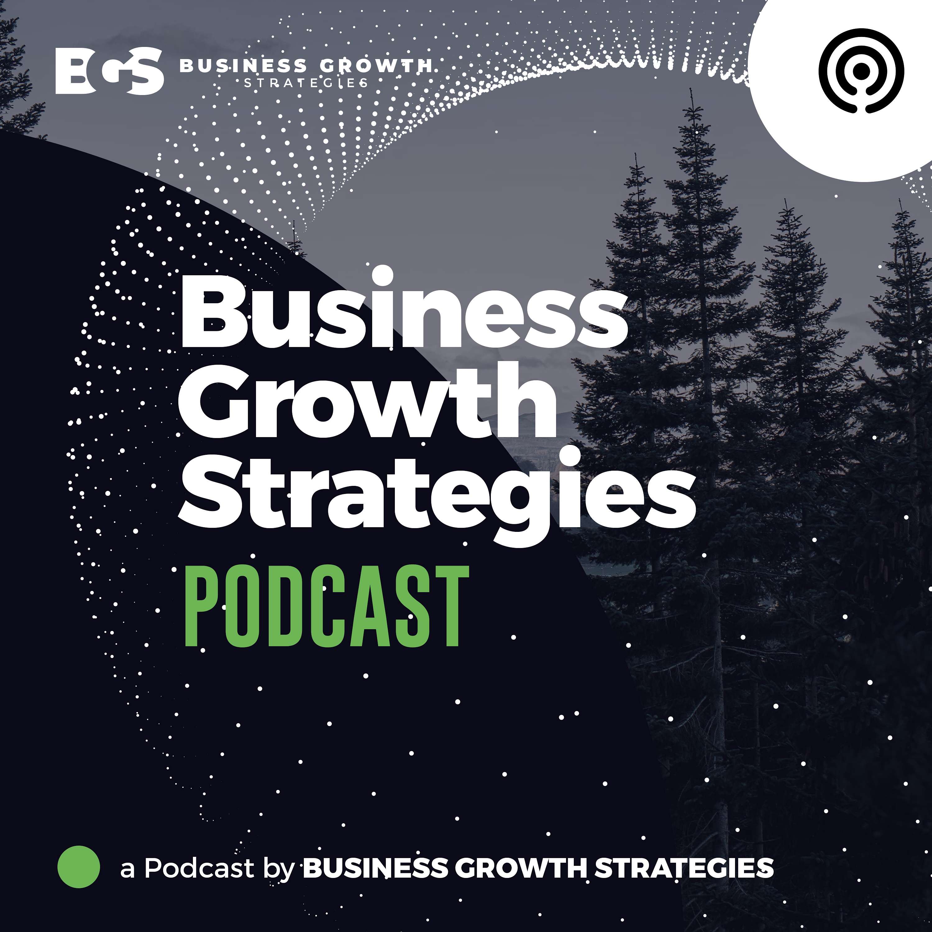 The Business Growth Strategies Podcast