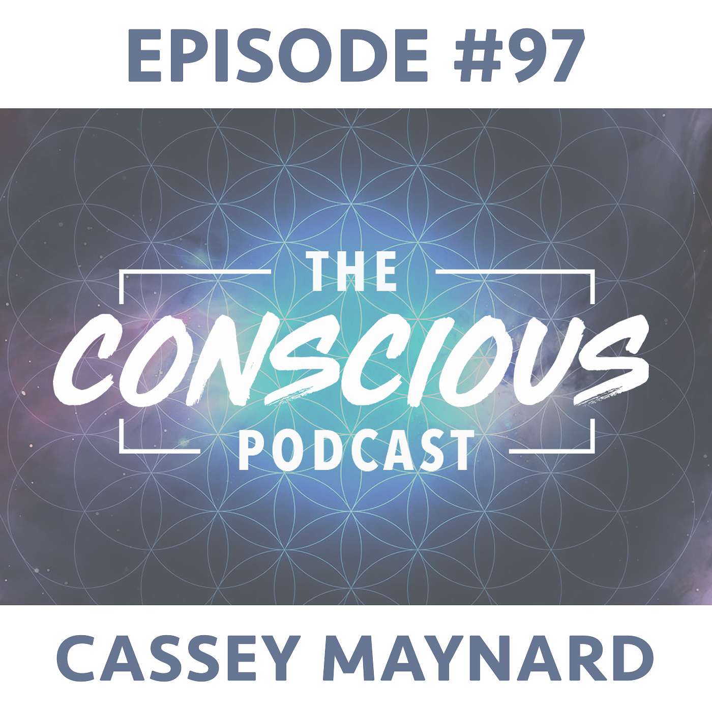 The Conscious Podcast