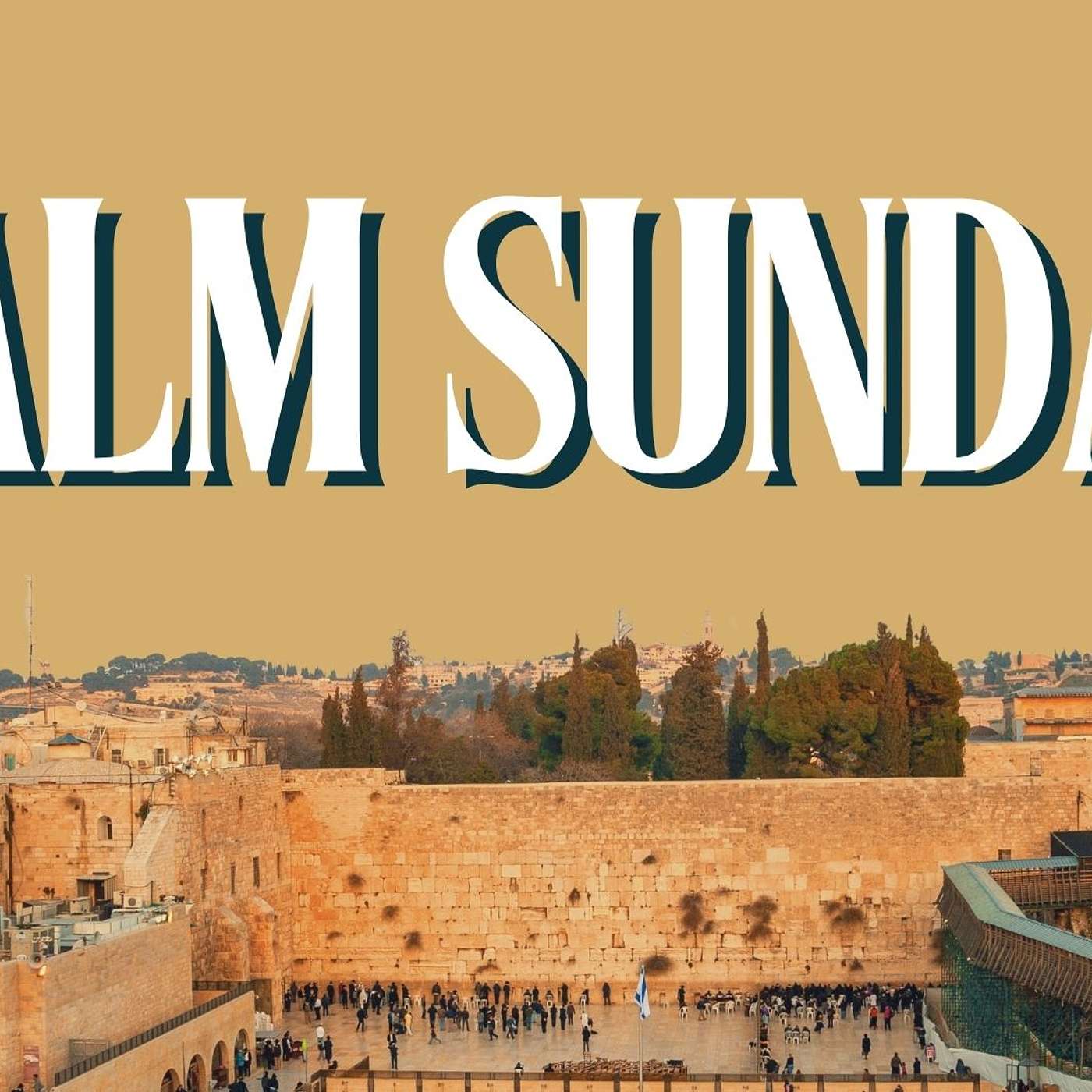 Palm Sunday | The Wait Is Over!: Luke 19:28–40 episode artwork