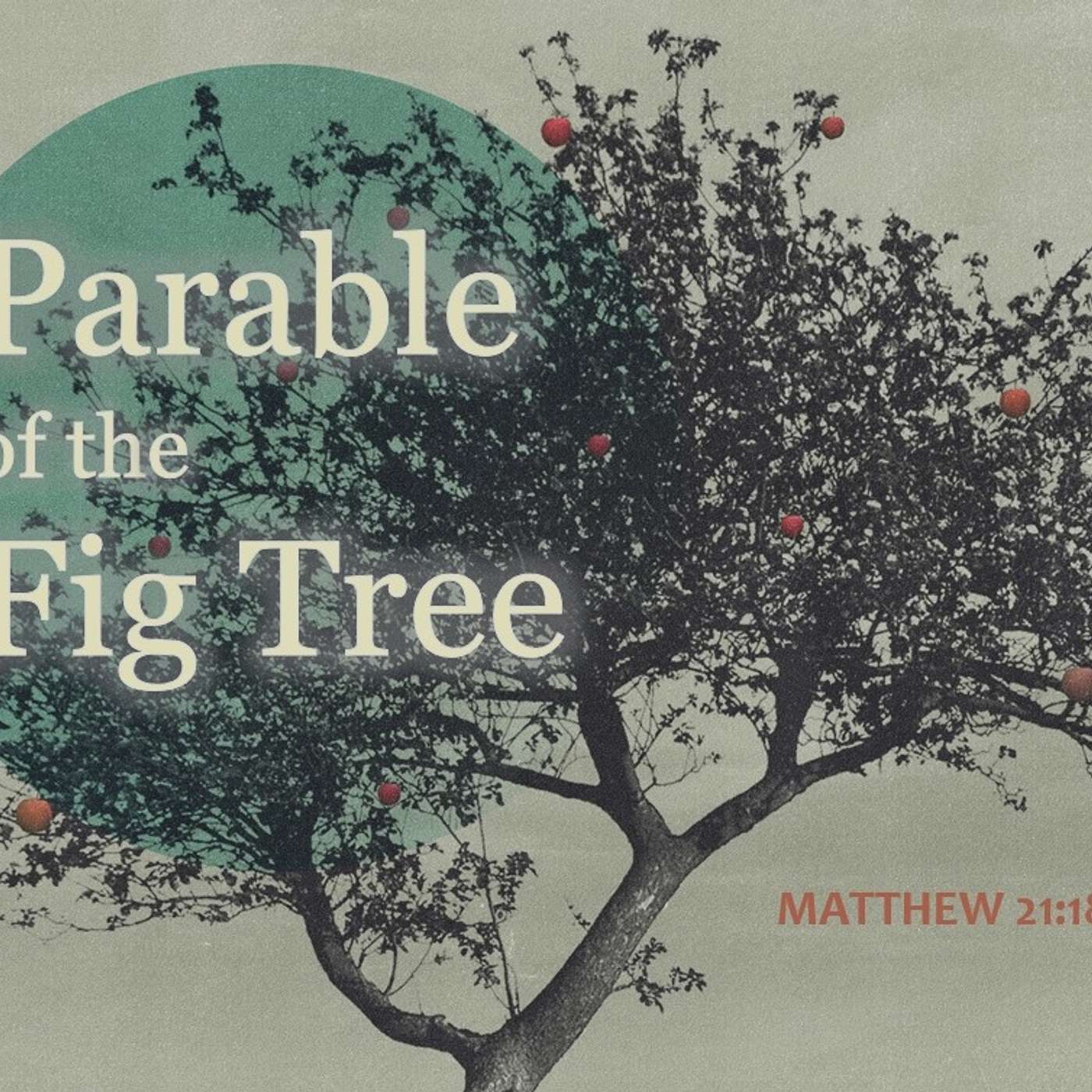 Matthew 21:18-22  Parable of the Fig Tree - Nathan Ewing episode artwork