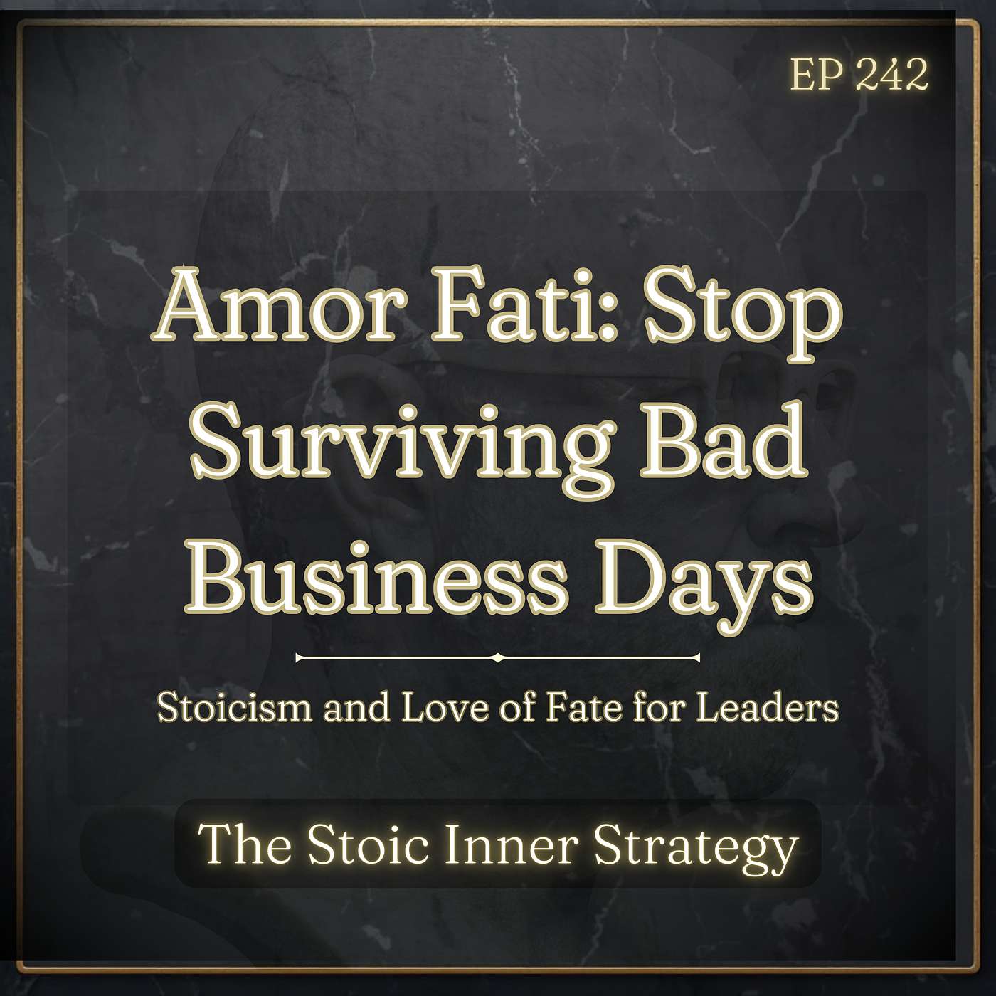 The Stoic Inner Strategy – A Leadership & Strategy Podcast