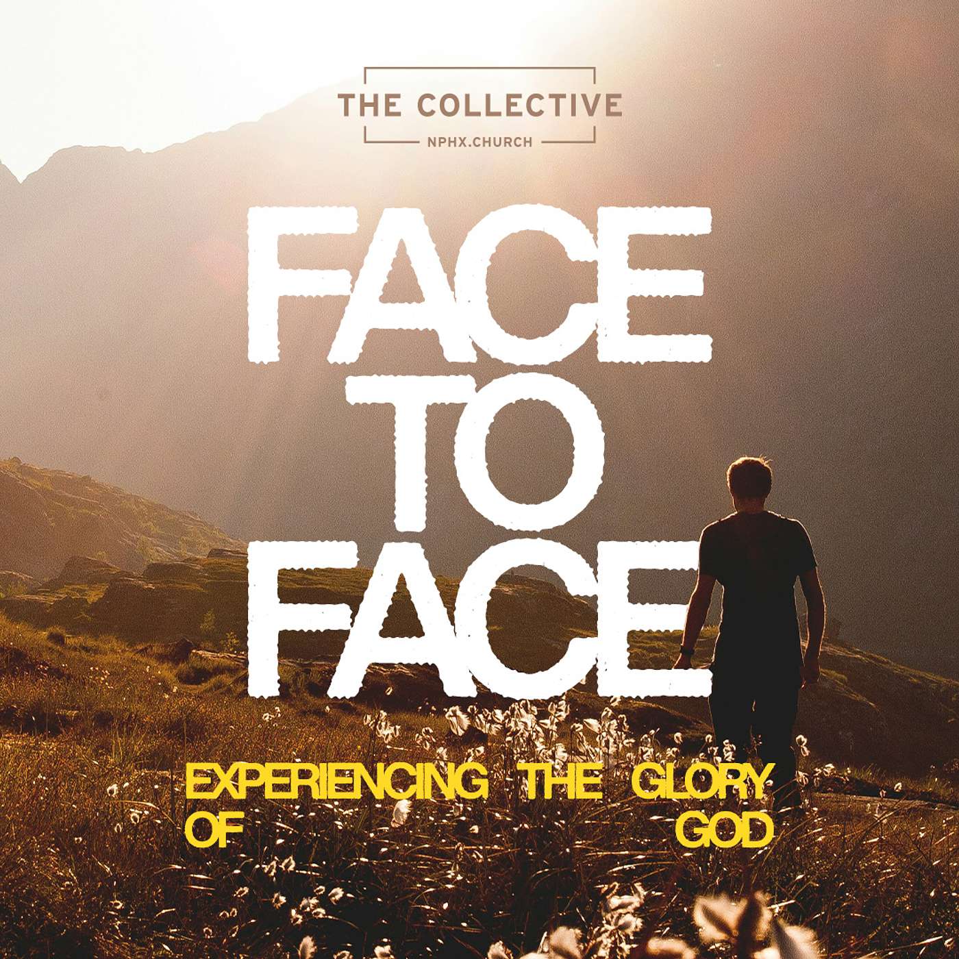 The Collective - NPHX