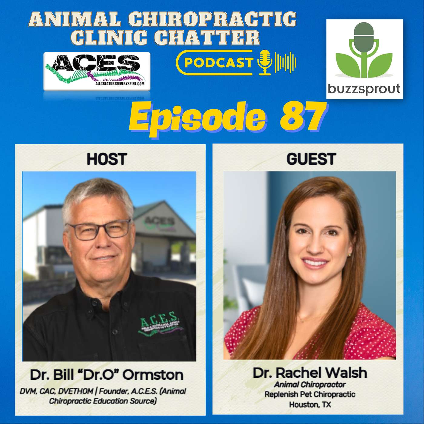 Animal Chiropractic Clinic Chatter