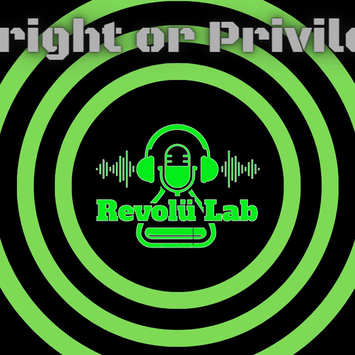 How can we help prevent gun violence! Right to own a weapon or should it become a privilege?