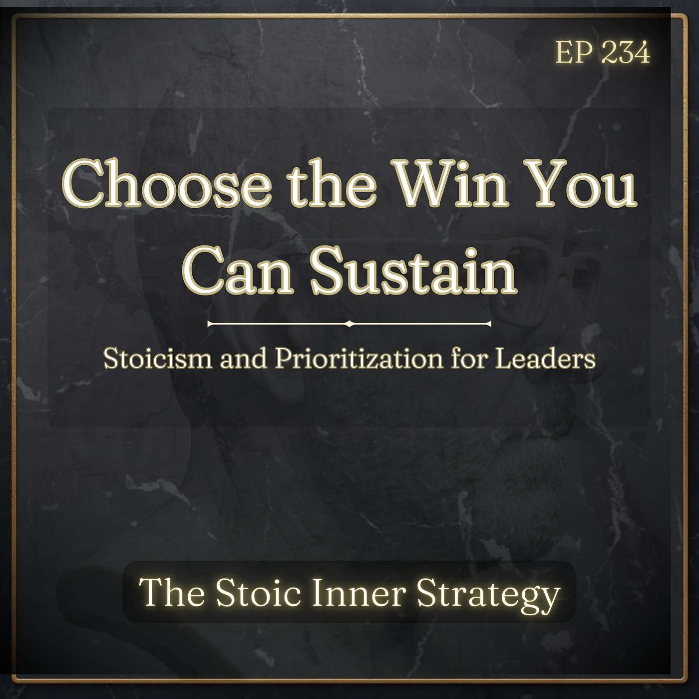 Ep 234 – Choose the Win You Can Sustain episode artwork