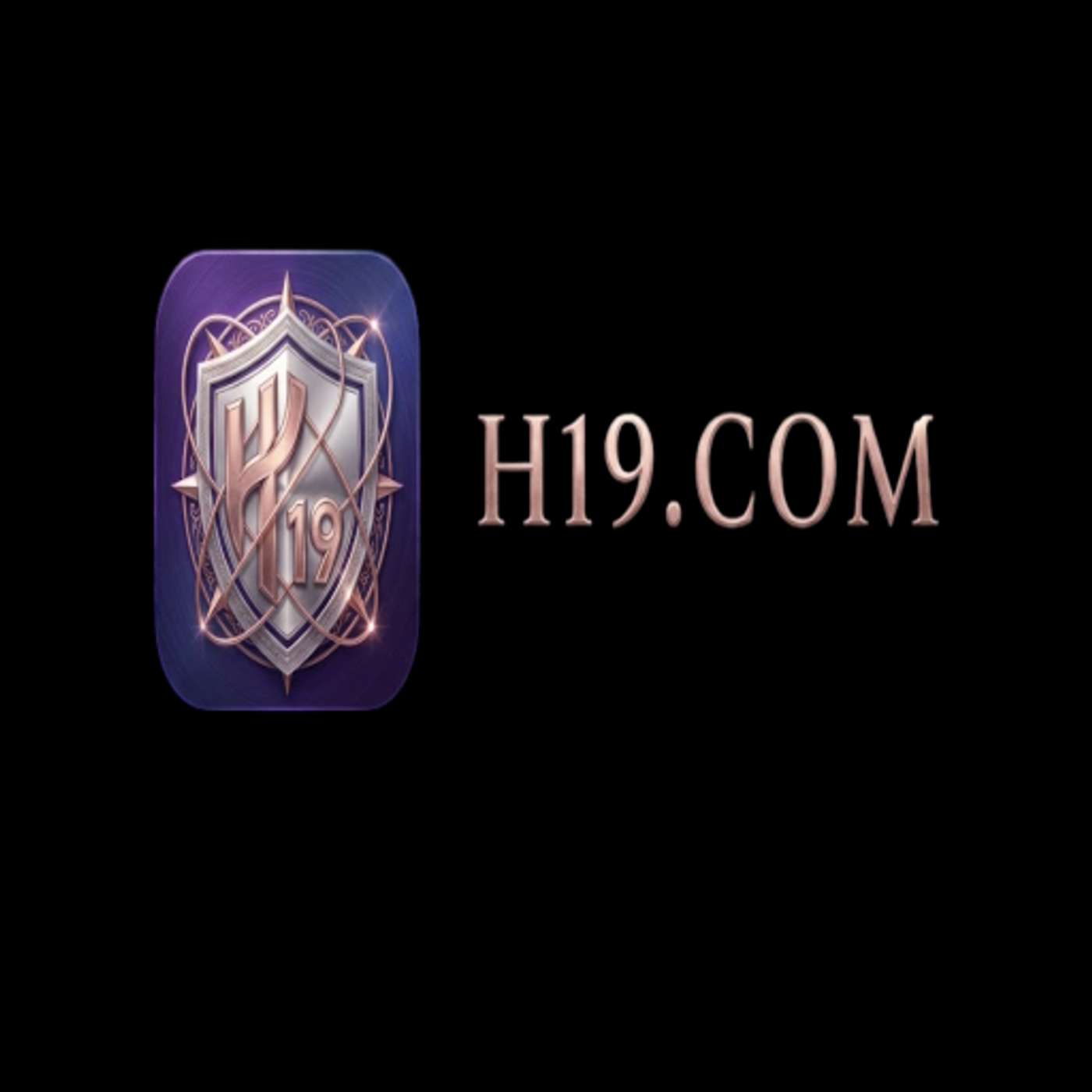 h19miami