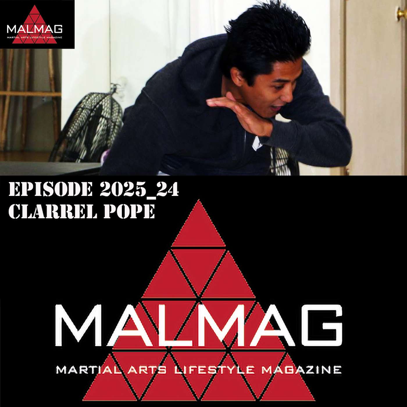 The Martial Arts Lifestyle Podcast
