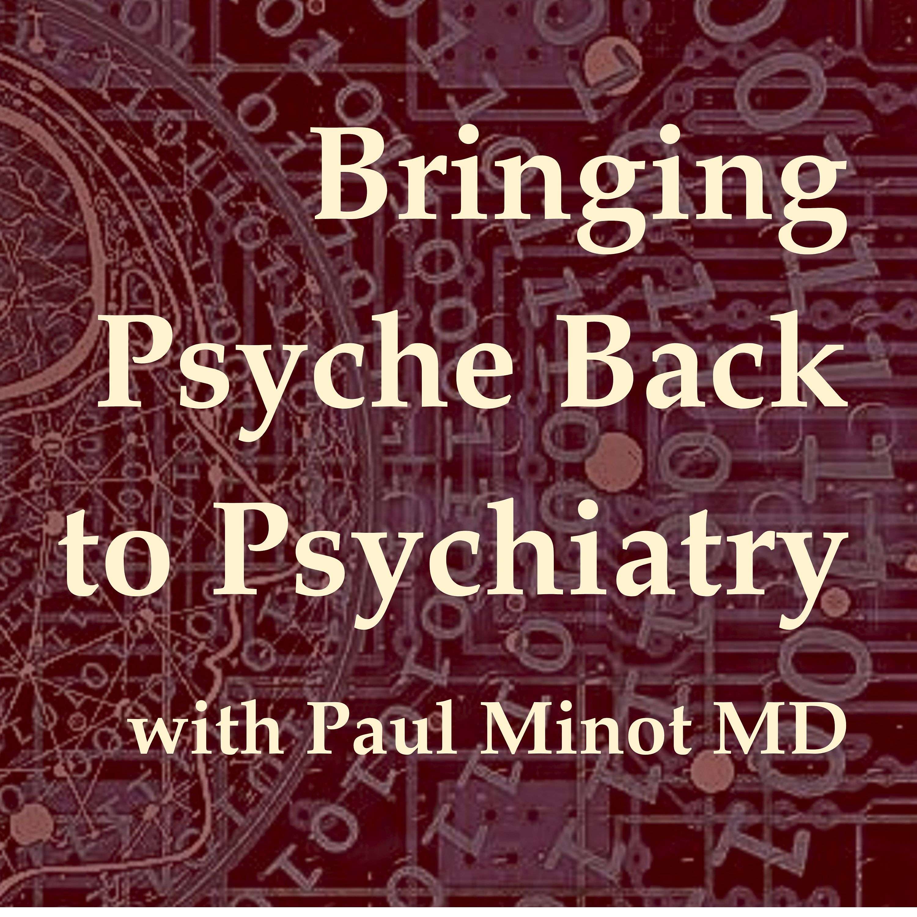 FREE Bringing Psyche Back to Psychiatry with Paul Minot MD
