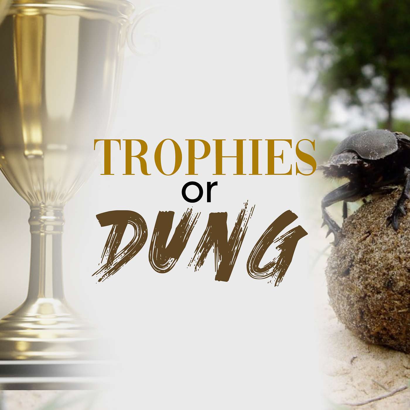 Trophies or Dung - Sunday PM 09/01/2024 - Pastor Bob Gray II episode artwork