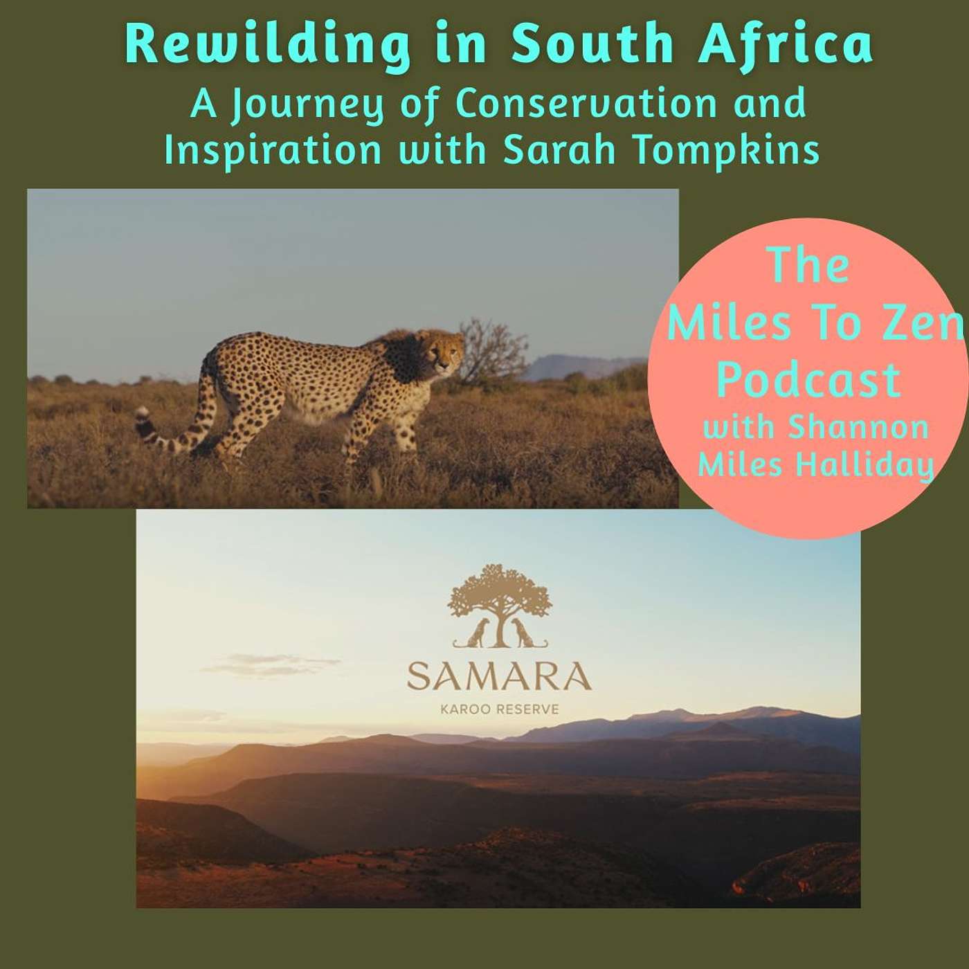 The Miles to Zen Podcast with Shannon Miles Halliday