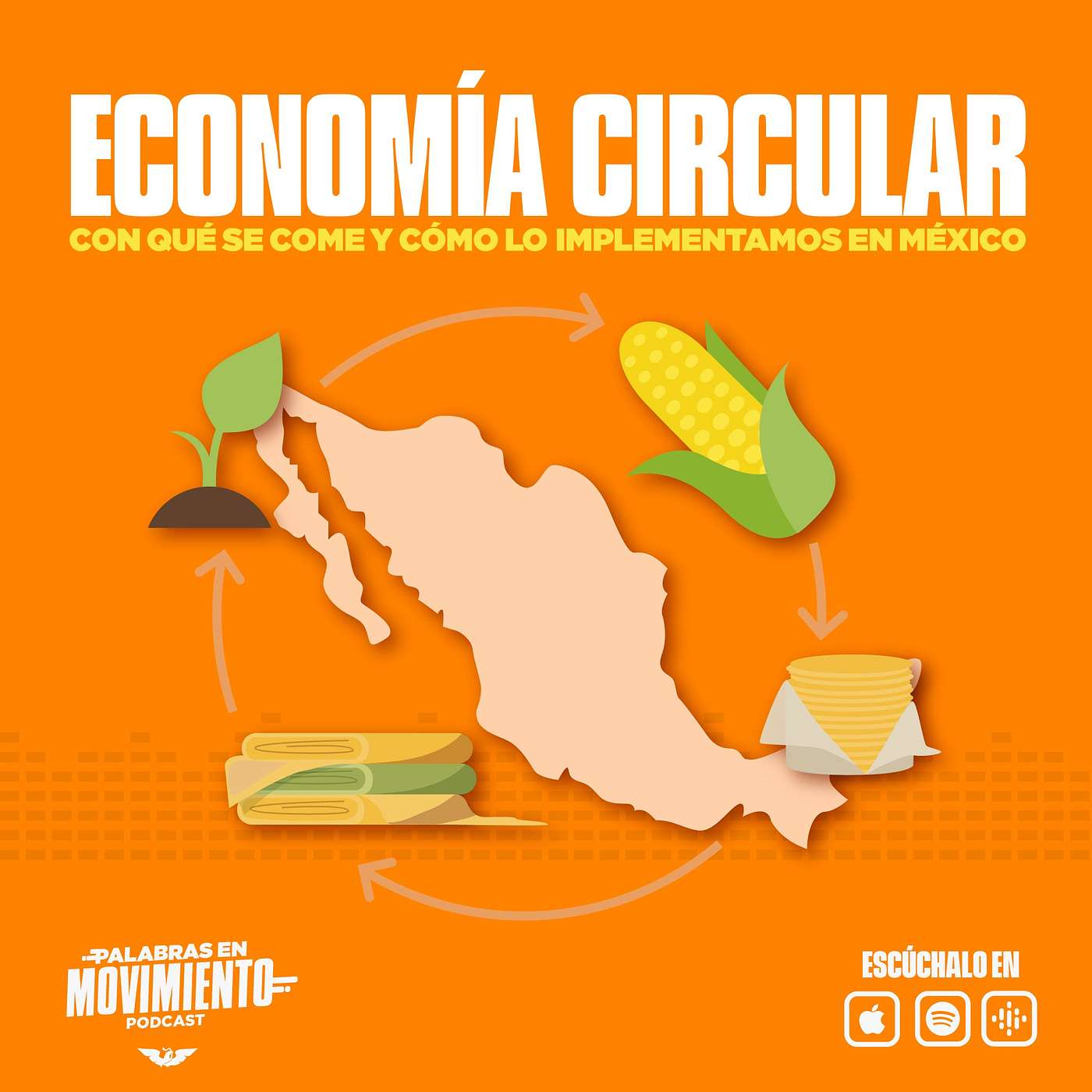 Economía circular: con qué se come y cómo lo implementamos en México.