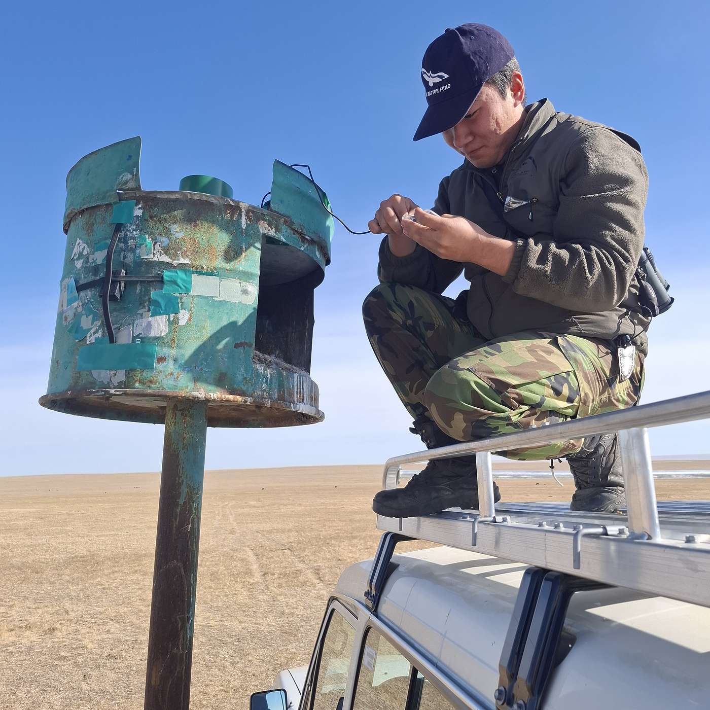 Landscape of Fear: How Saker Falcons Shape the Steppe – with Dr Andrew Dixon