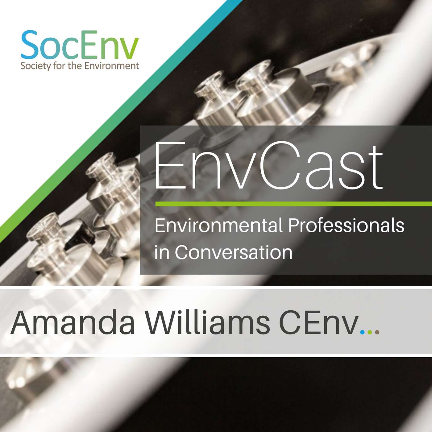 In Conversation with Amanda Williams CEnv