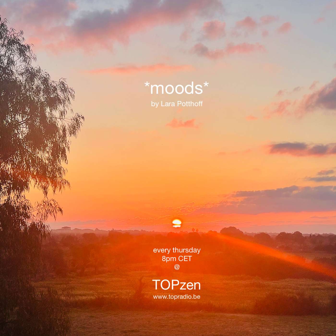 *moods* by Lara Potthoff @ TOPzen 23.03.2023