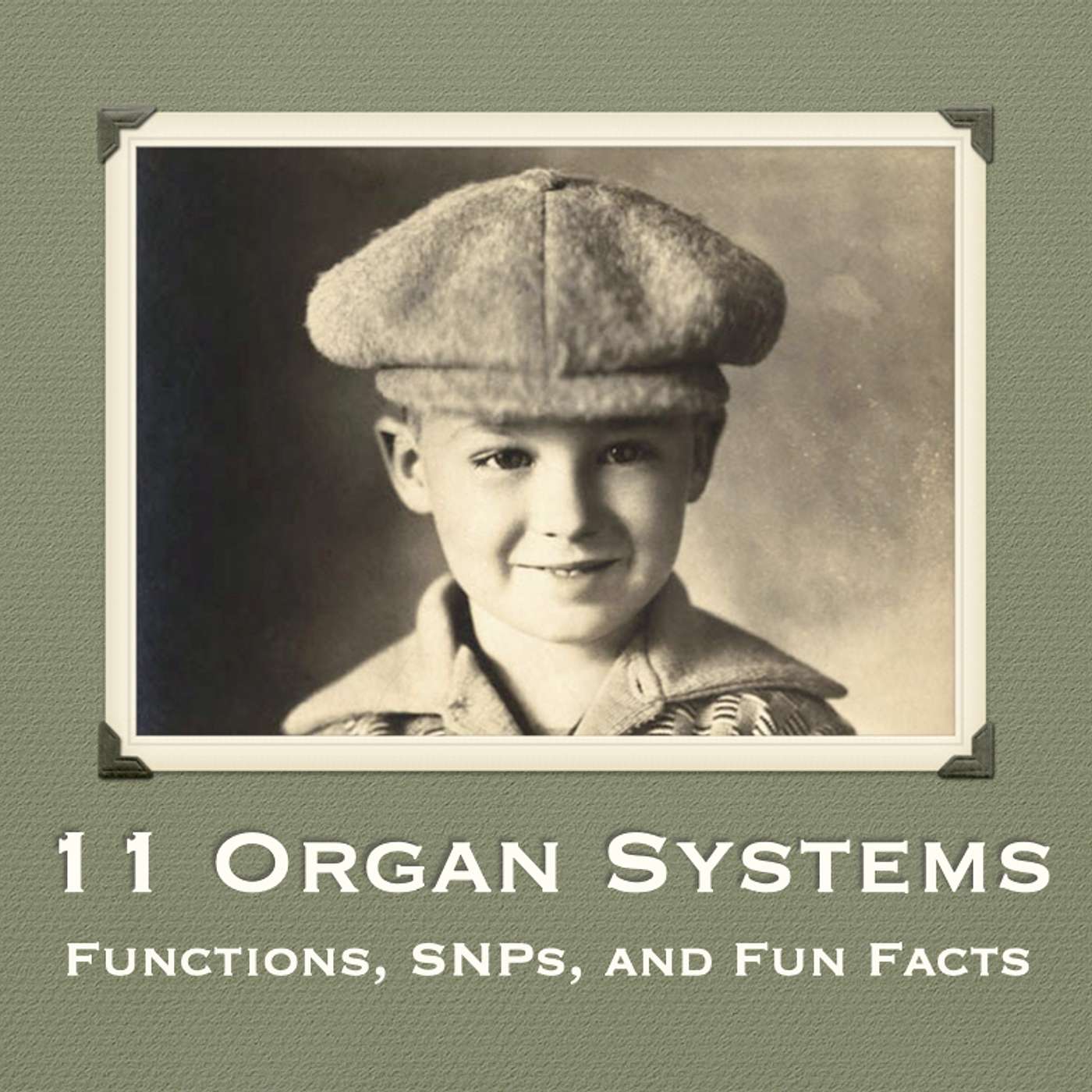 Deficiency Theory: The Amazing World of Human Organ Systems | Fun Facts Included episode artwork