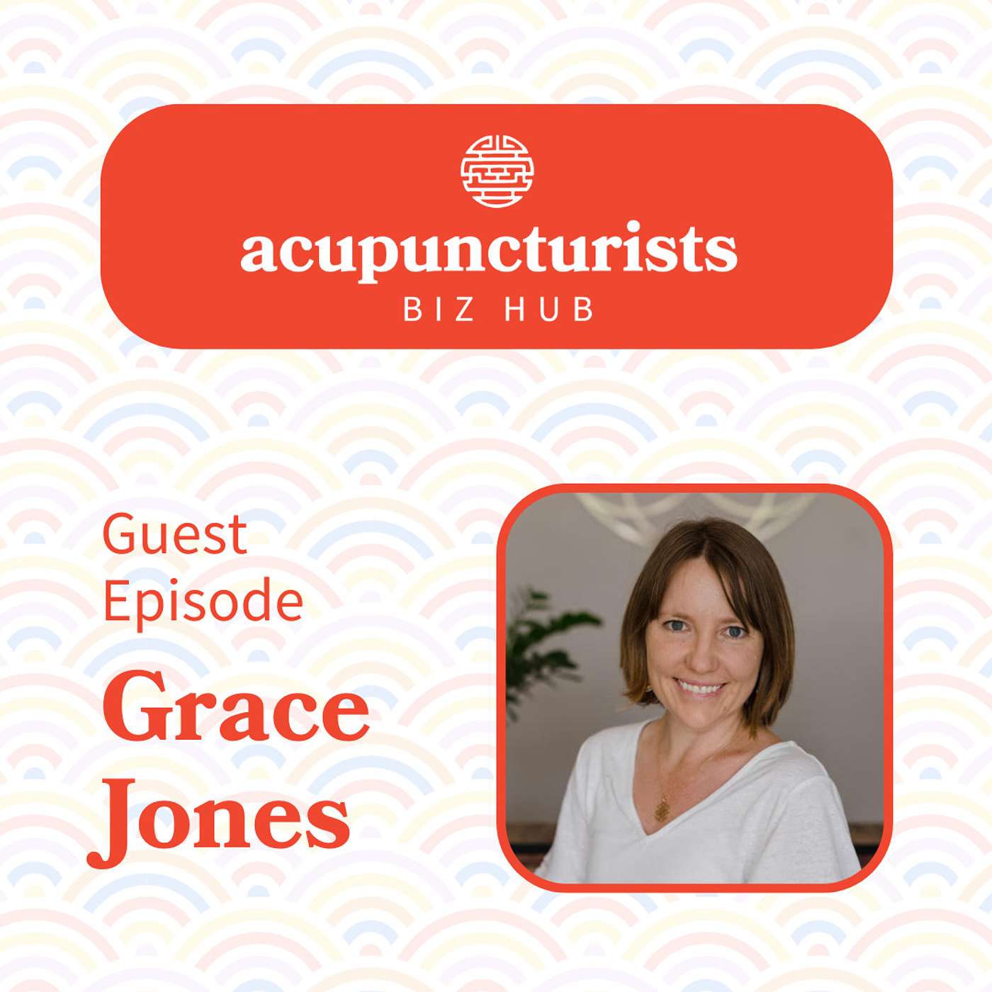 The Acupuncturists Biz Hub