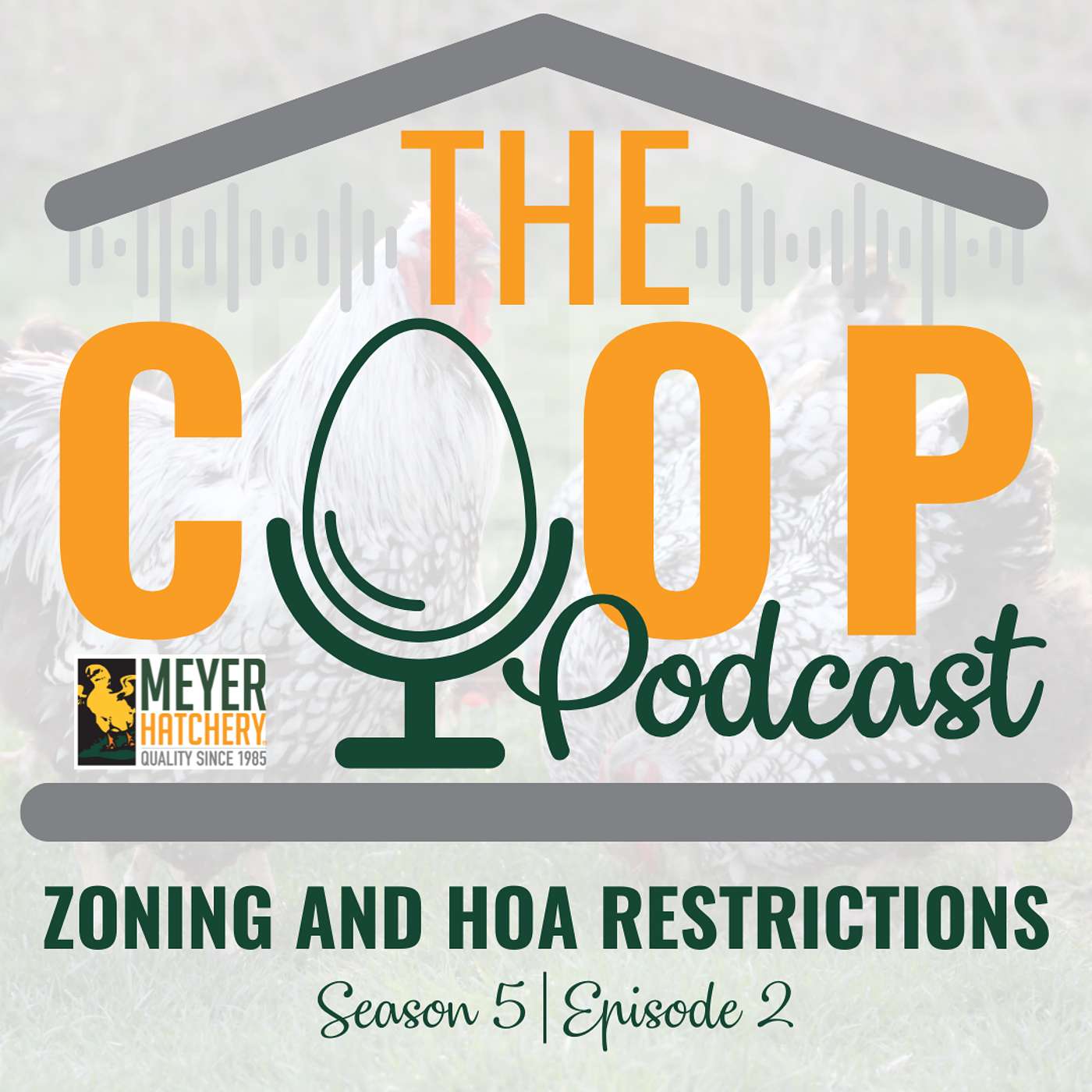 Zoning Laws and HOA Rules for Chickens