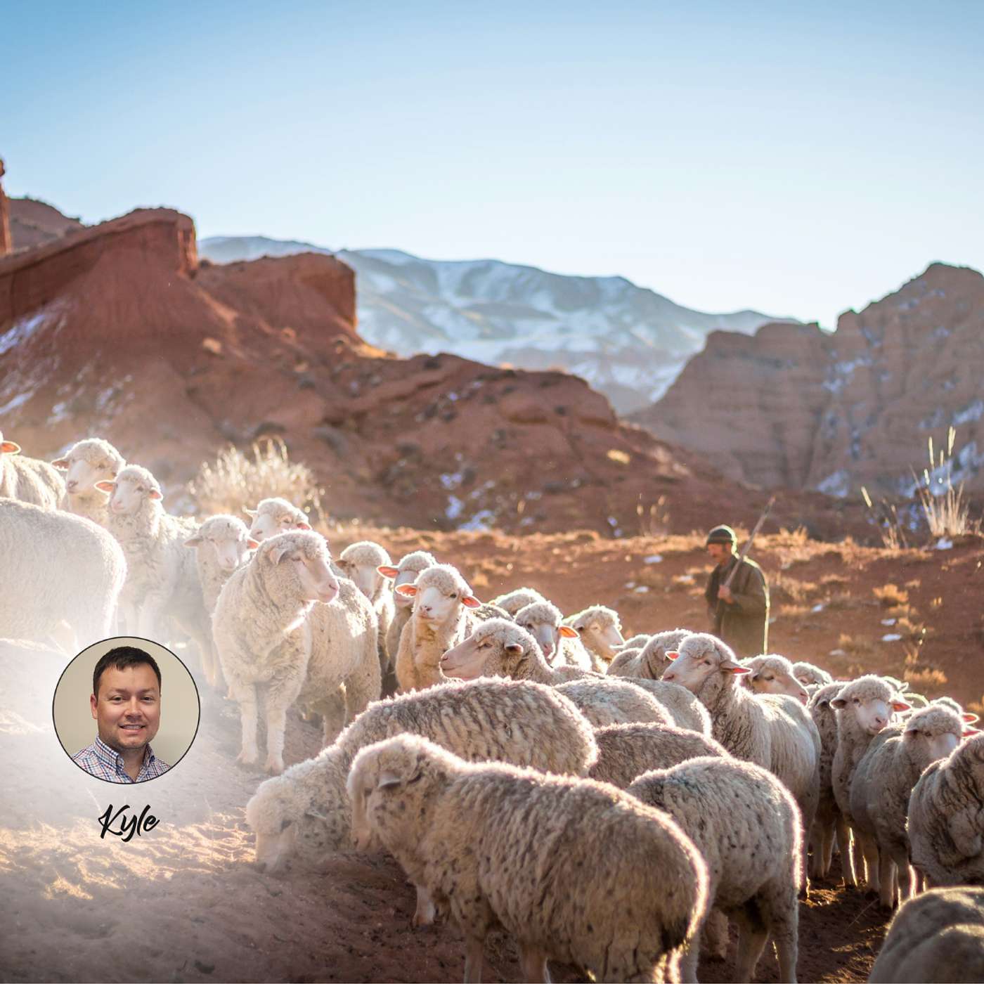 1/21 - In Christ's Flock