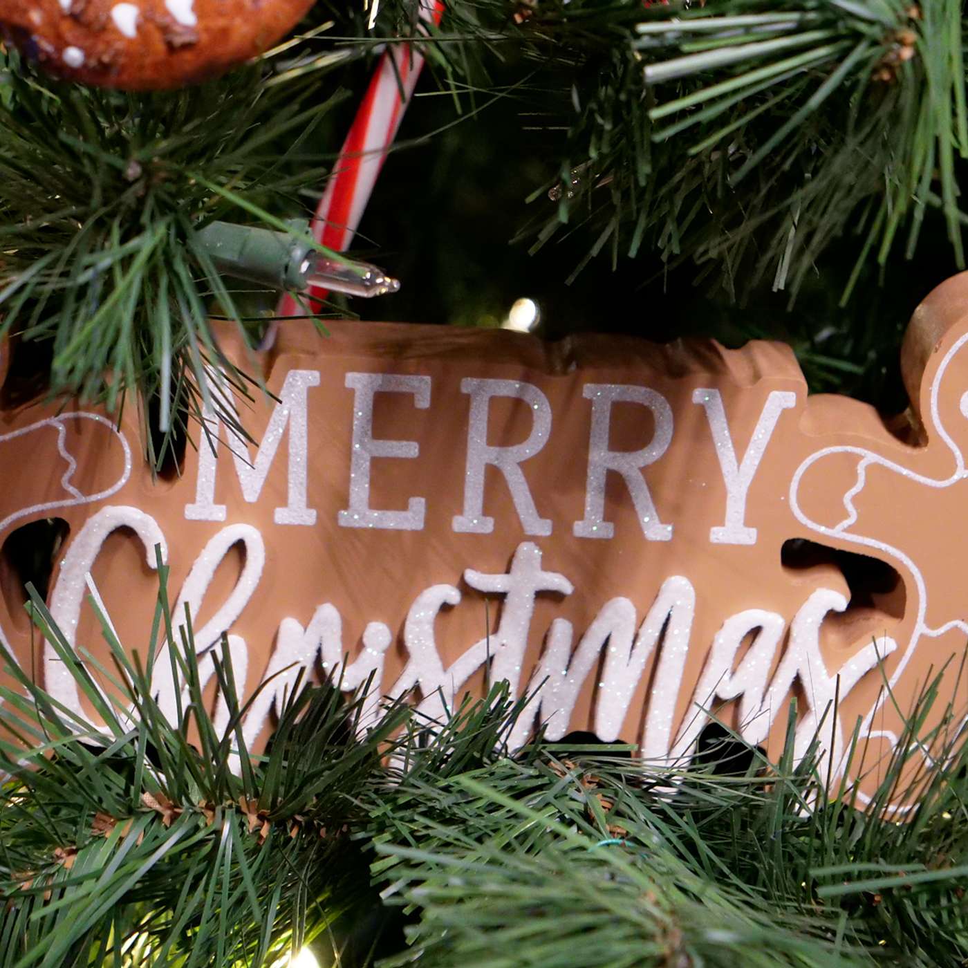 Festival of Trees and Wreaths Kicked Off Holiday Season episode artwork