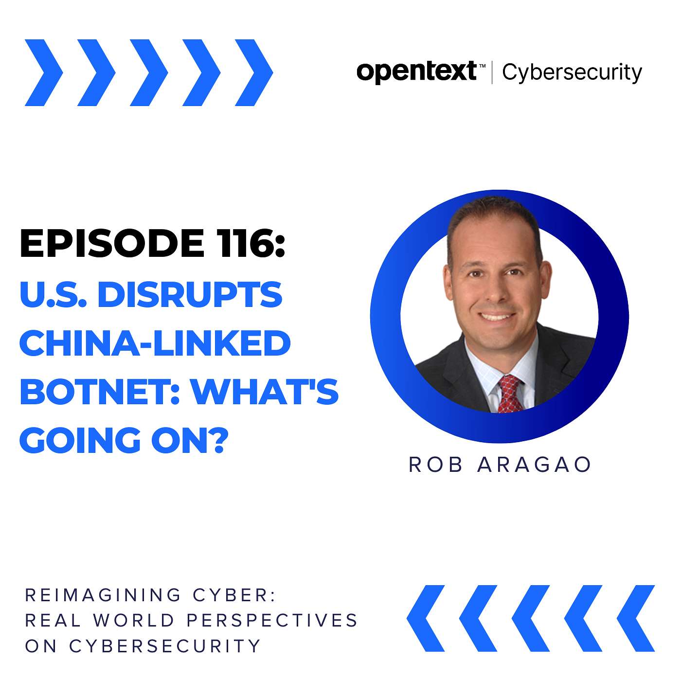 U.S. Disrupts China-Linked Botnet: What's Going On? - Ep 116