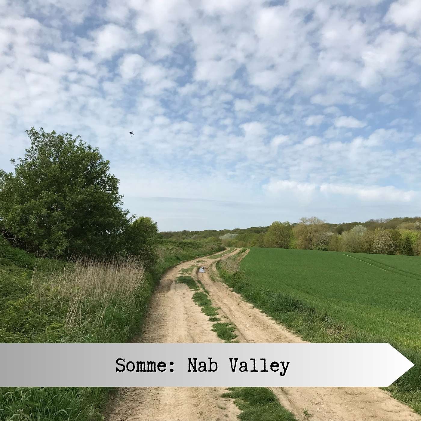 Somme 1916: Nab Valley