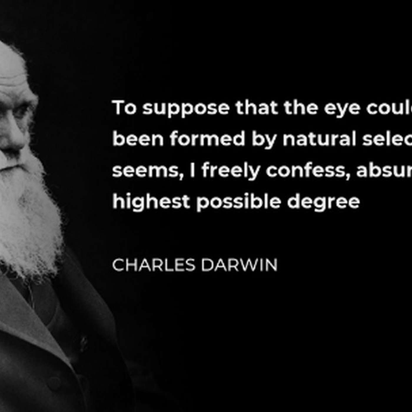 Darwin’s Demise: What they don’t want You to know about Charles Darwin!