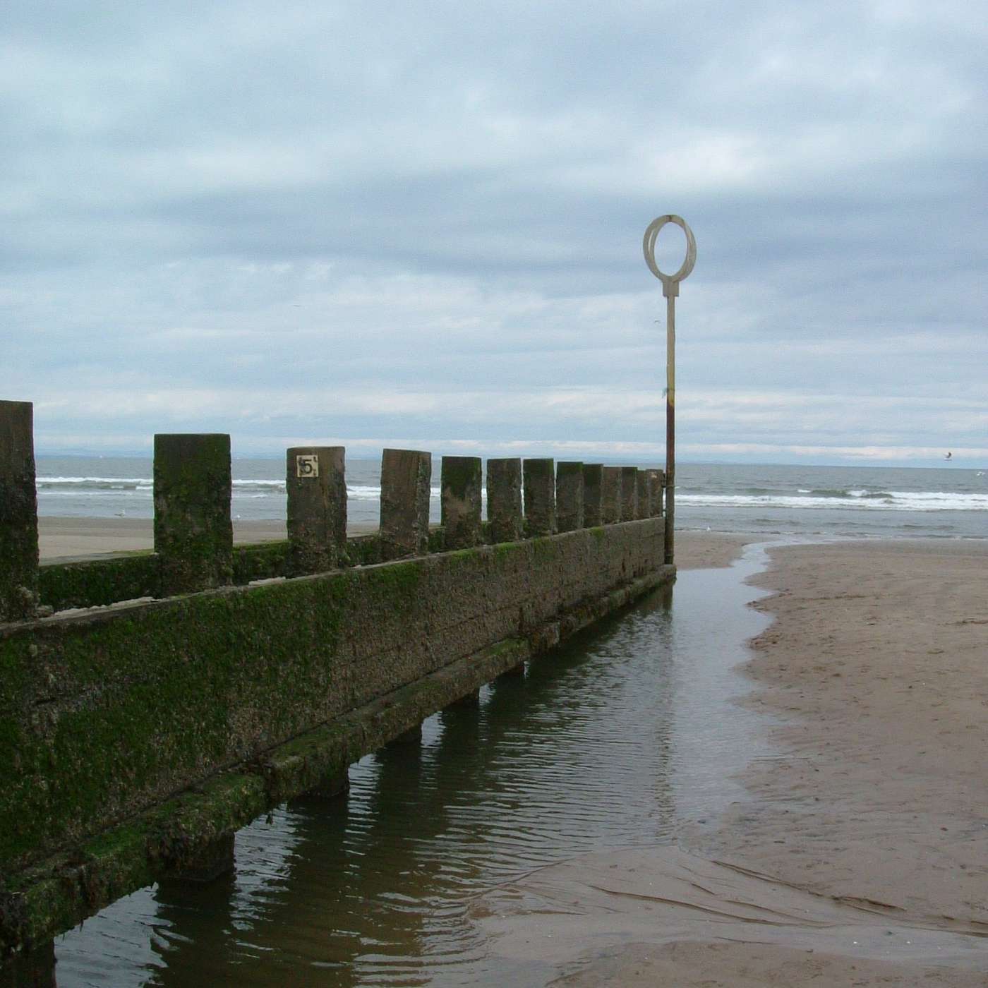 Porty Podcast
