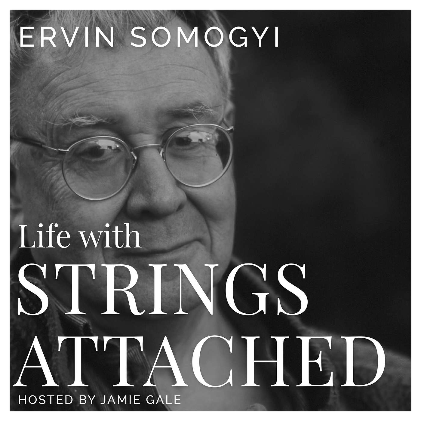 The Lesson Every Maker Needs to Hear | Ervin Somogyi episode artwork