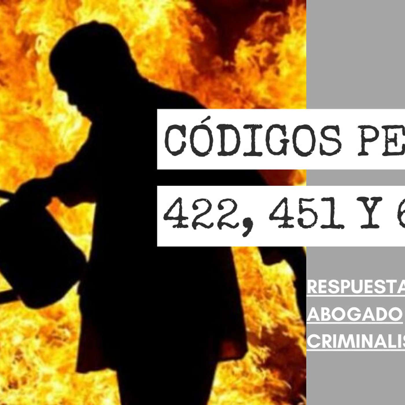 Abogado Criminalista Área de la Bahía