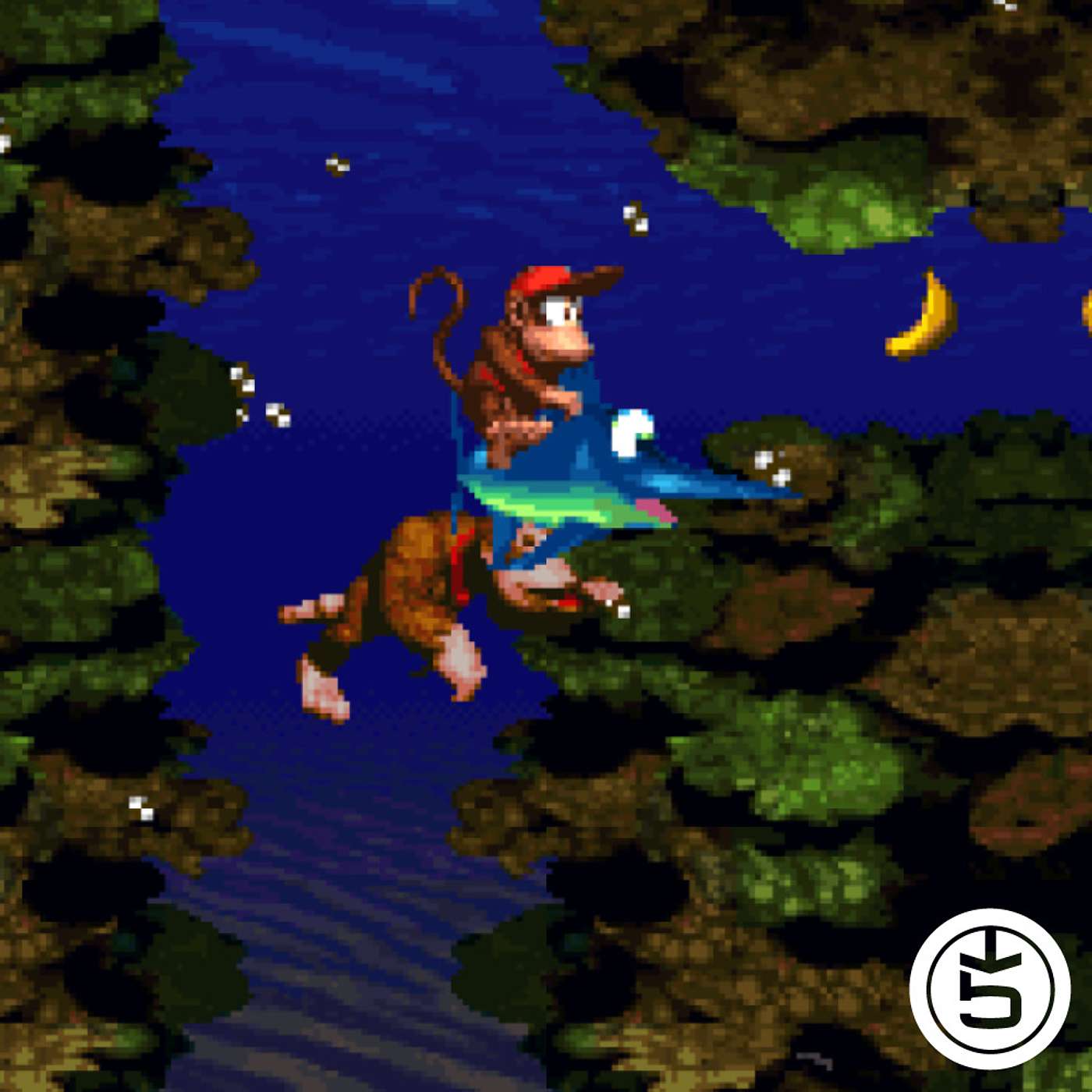 Donkey Kong Country