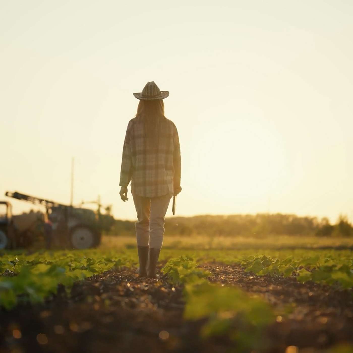 Women in Ag Conference Comes to La Plata County episode artwork