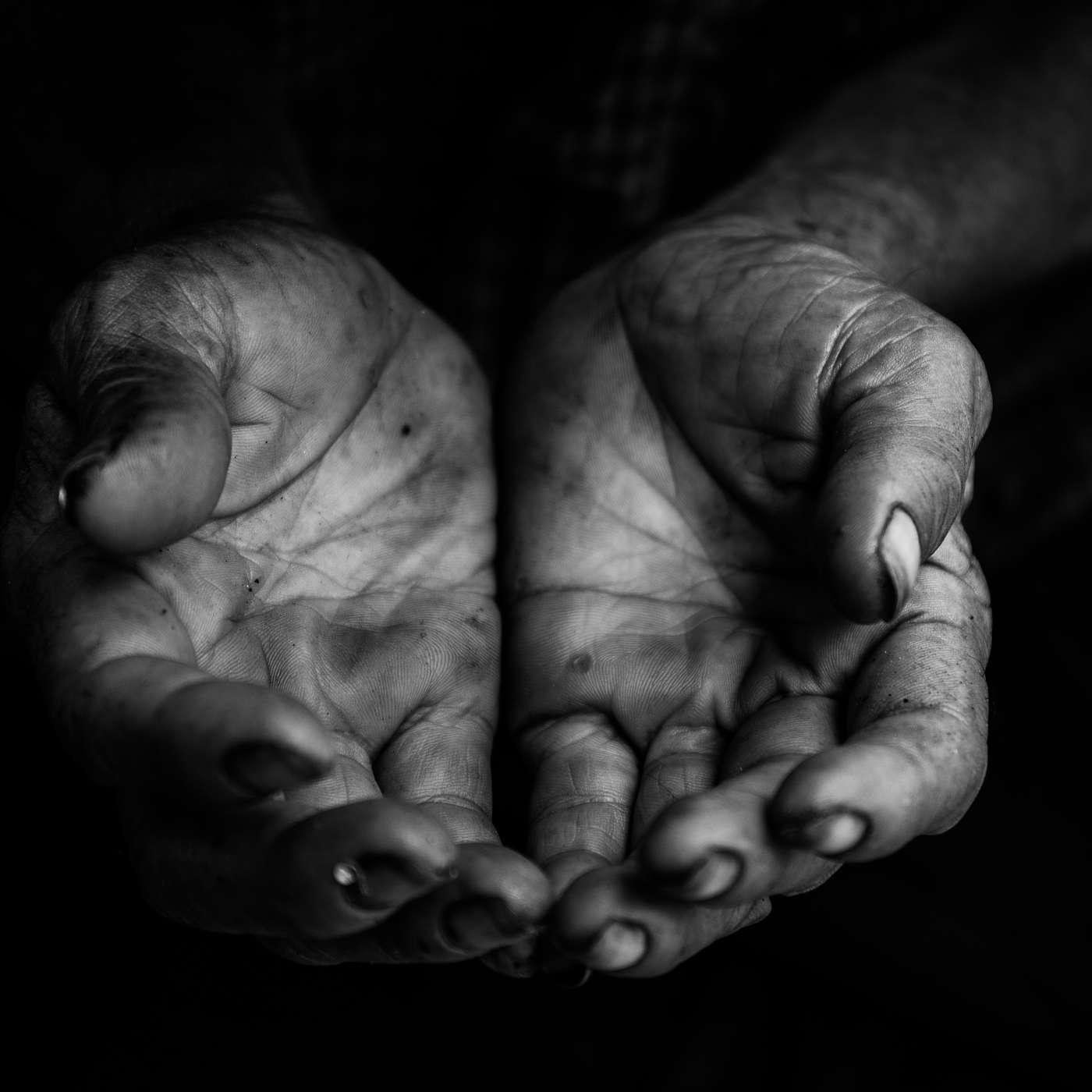 The Receptive Life (Introduction and Overview)