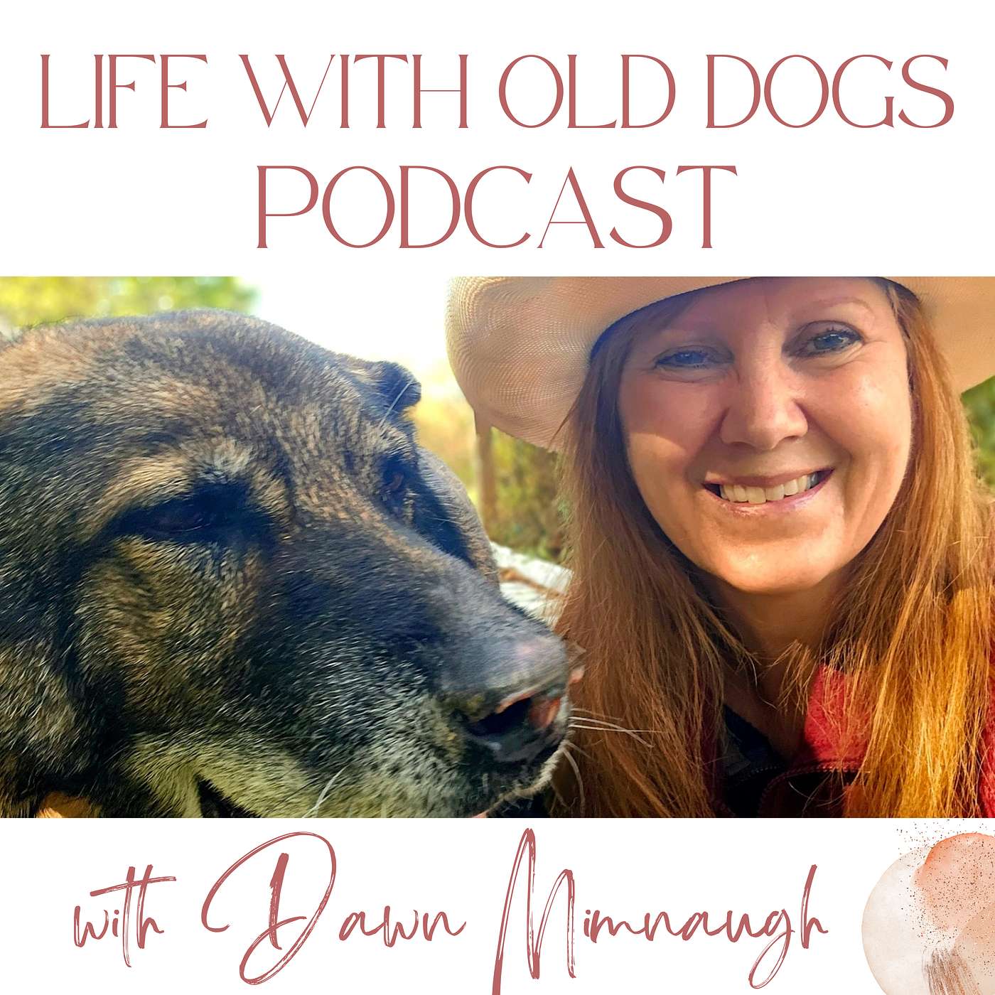 When Your Life Falls Apart But the Dogs Still Need You: Commitment in the Hard Lessons