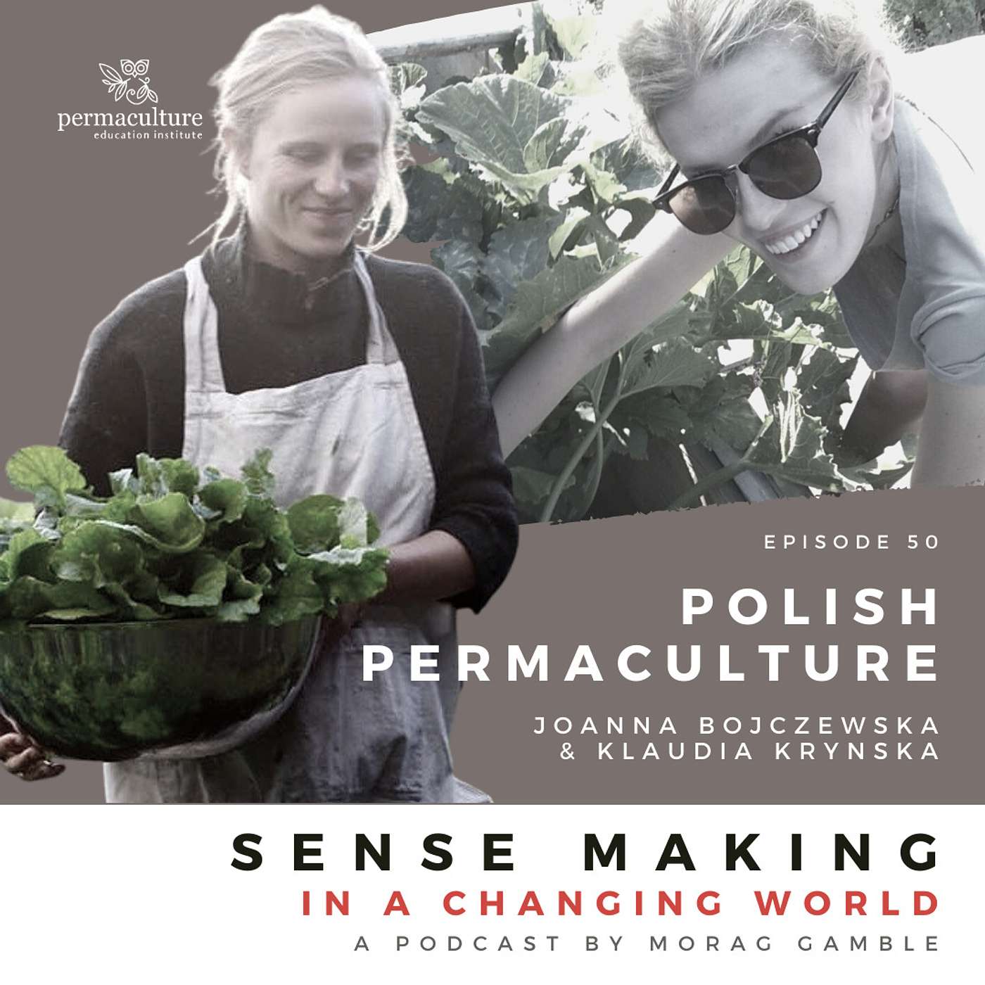 Sense-Making in a Changing World