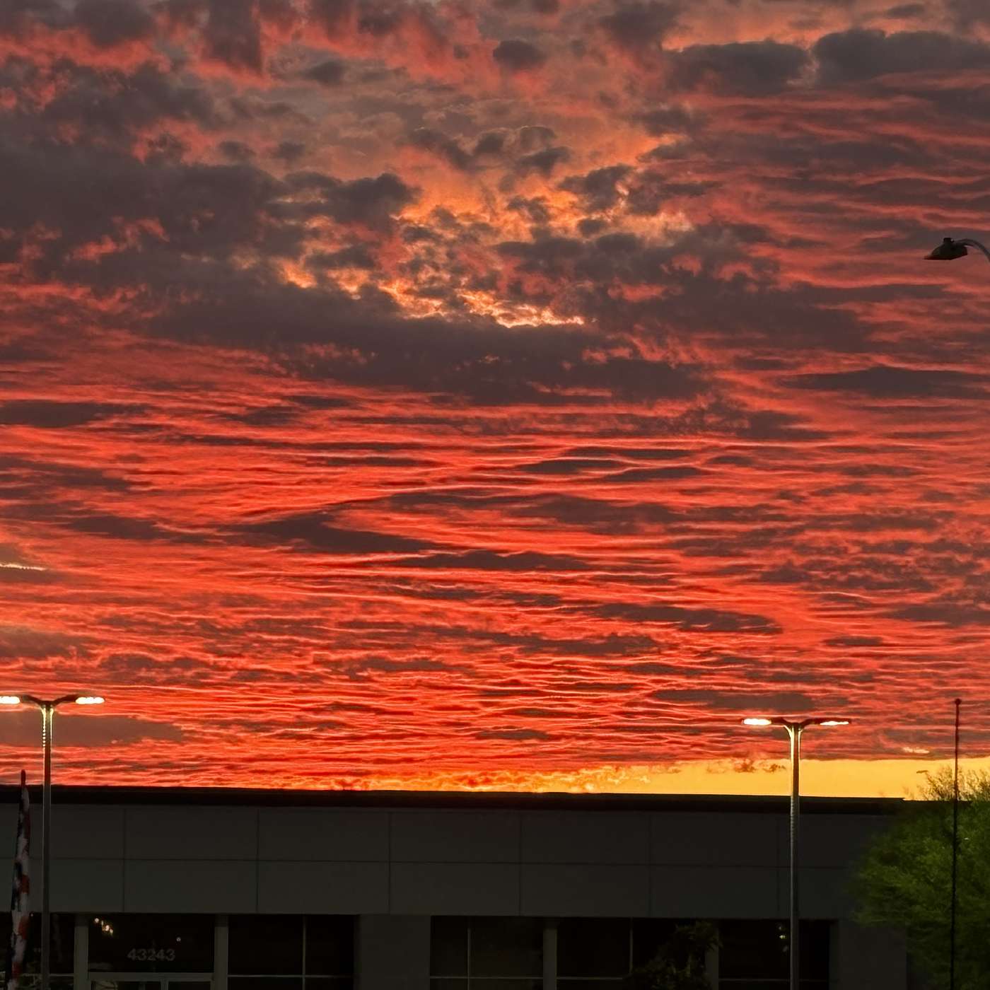 ❤️ THE HOT HEAD (s).