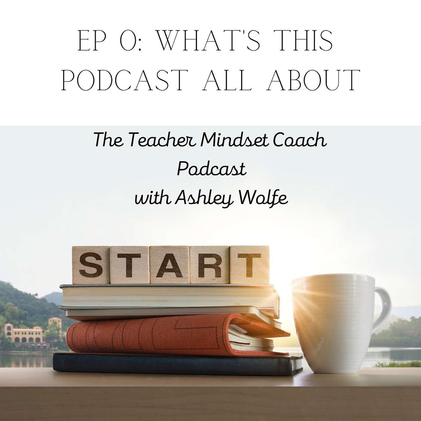 The Teacher Mindset Coach