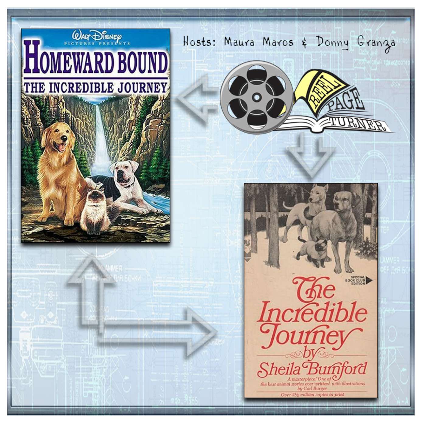 “Homeward Bound: The Incredible Journey”