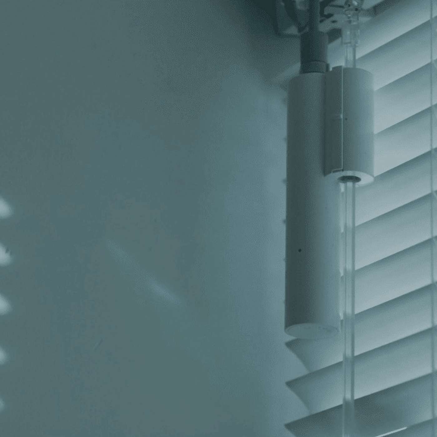 Which Motorized Blinds Are Right for You? Comparing Battery, Hardwired, Adaptor, and Solar-powered Styles episode artwork