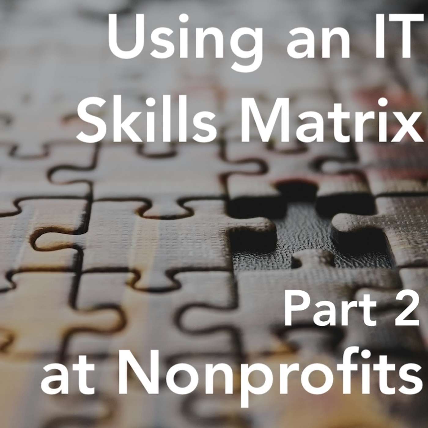 Using an IT Skills Matrix with Heather Ritchie pt 2