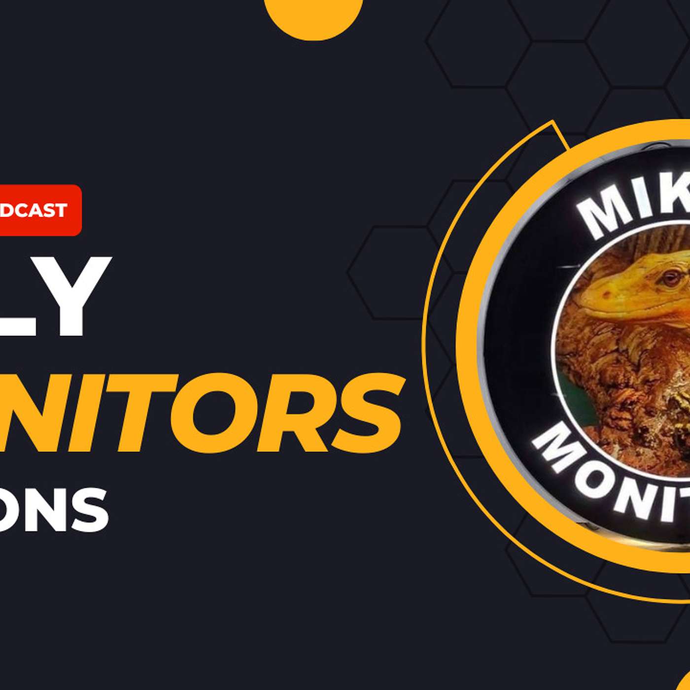 Uncle Mike Stefani talks about his Similis monitor project & the 2023 breeding season | The Trap