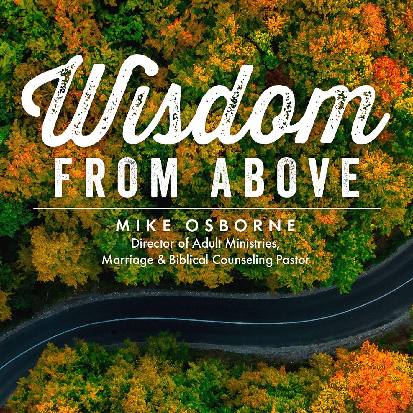 Wisdom from Above episode artwork