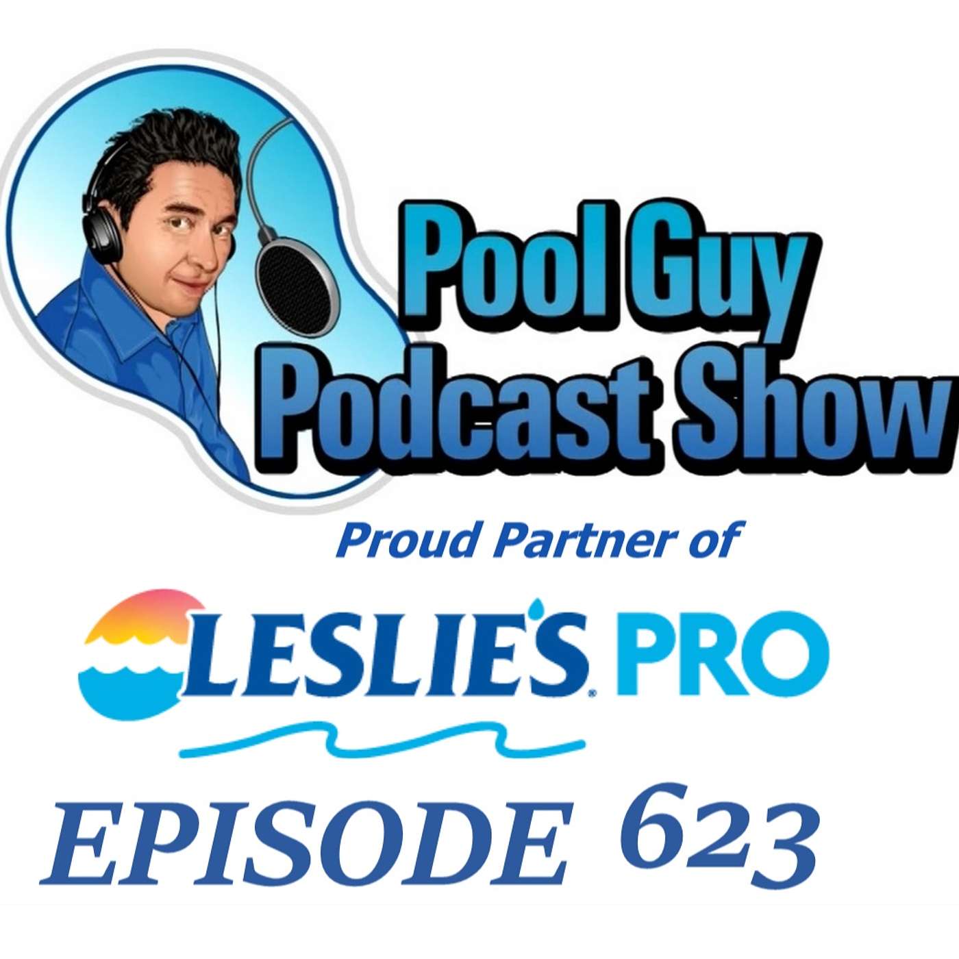 Common Pool Pump & Motor Noises and What's the Problem - Screech, Hum & Click!