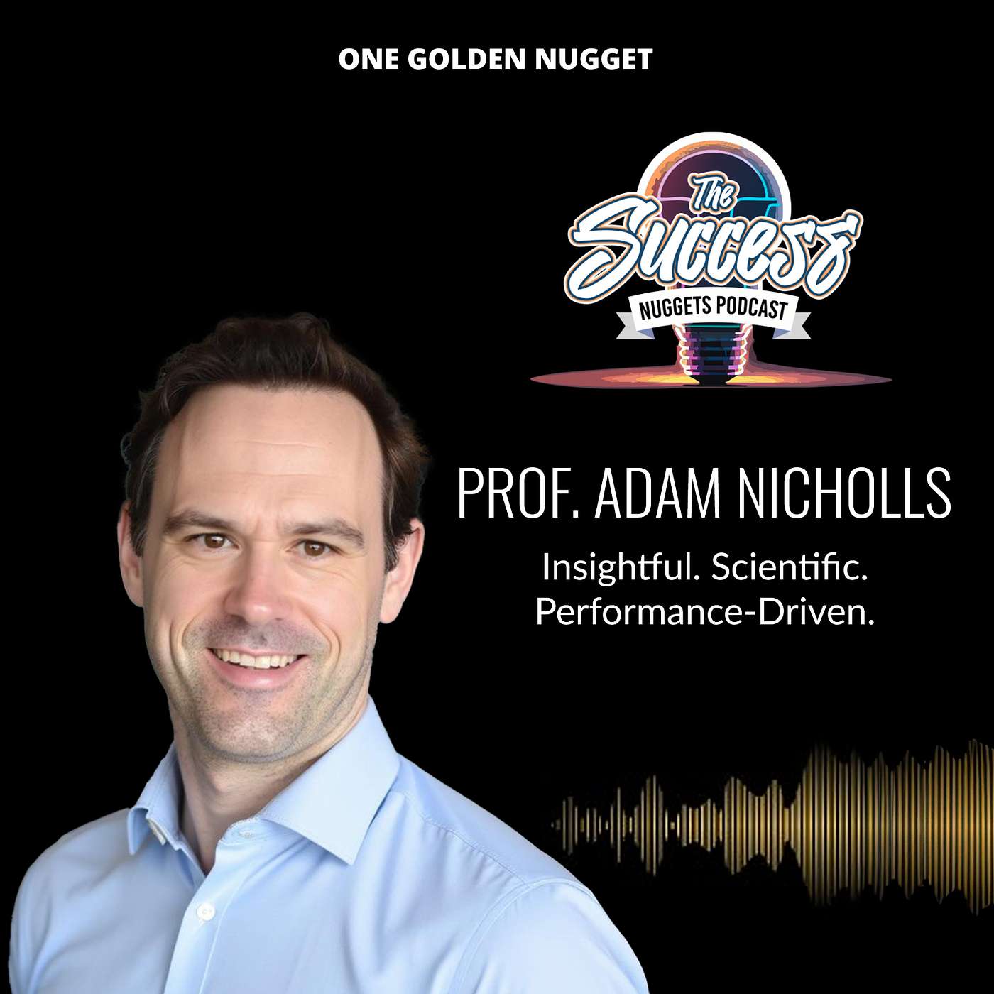 The Success Nuggets